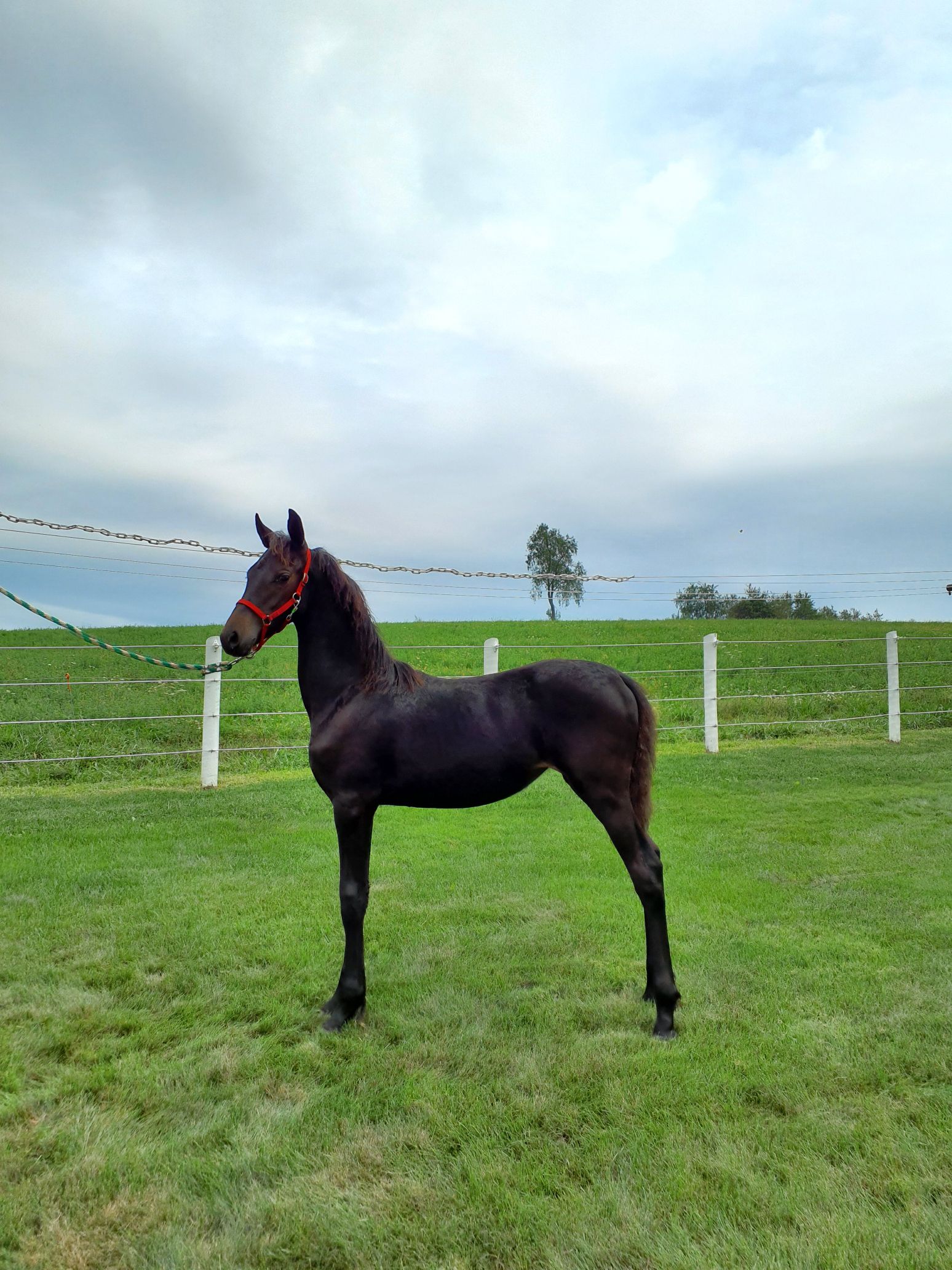 stop in at the stalls to check out these quality consignments… — picture 3