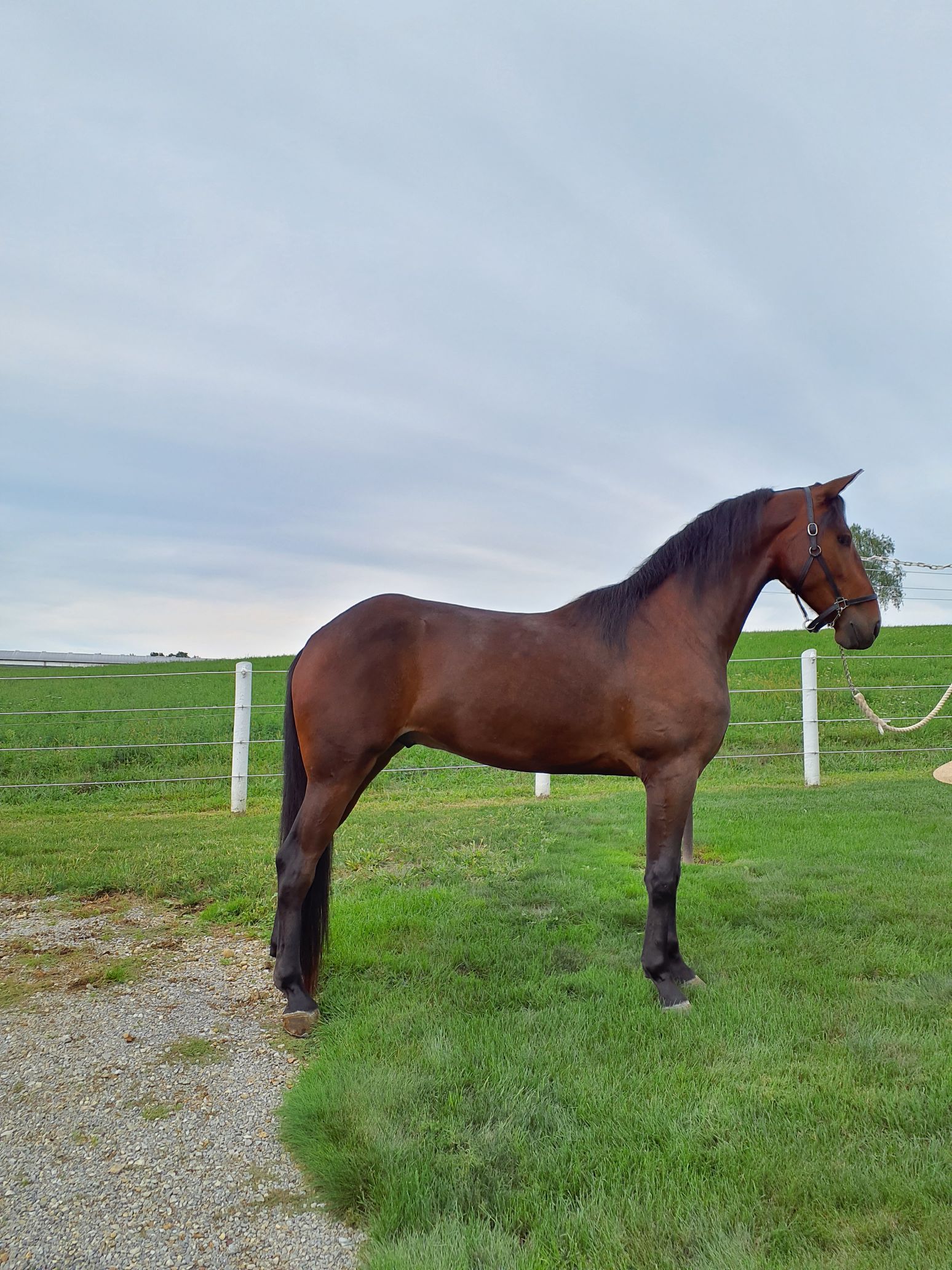 stop in at the stalls to check out these quality consignments… — picture 4
