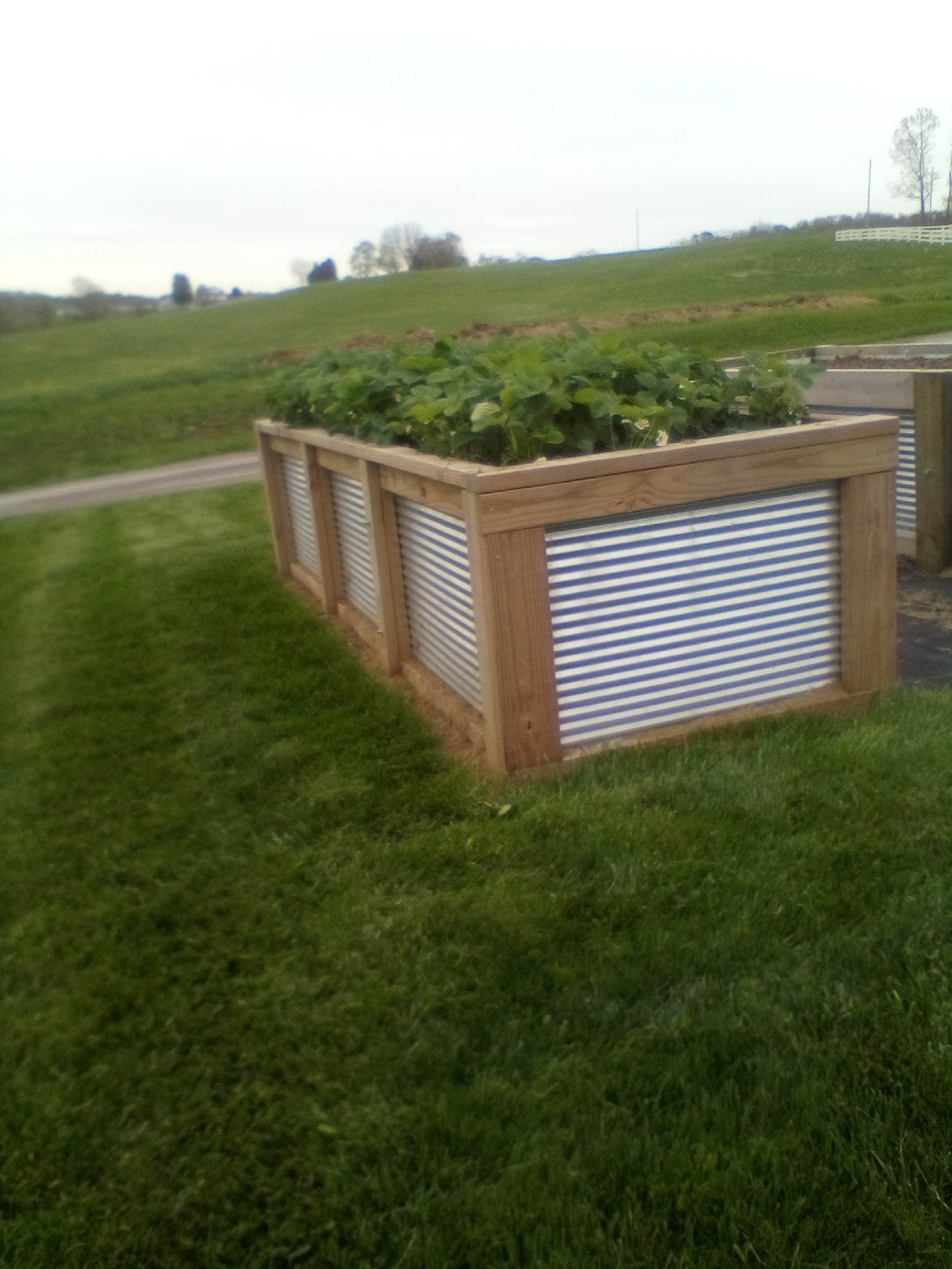 thinking about a raised garden bed now is the time so it's re… — picture 3