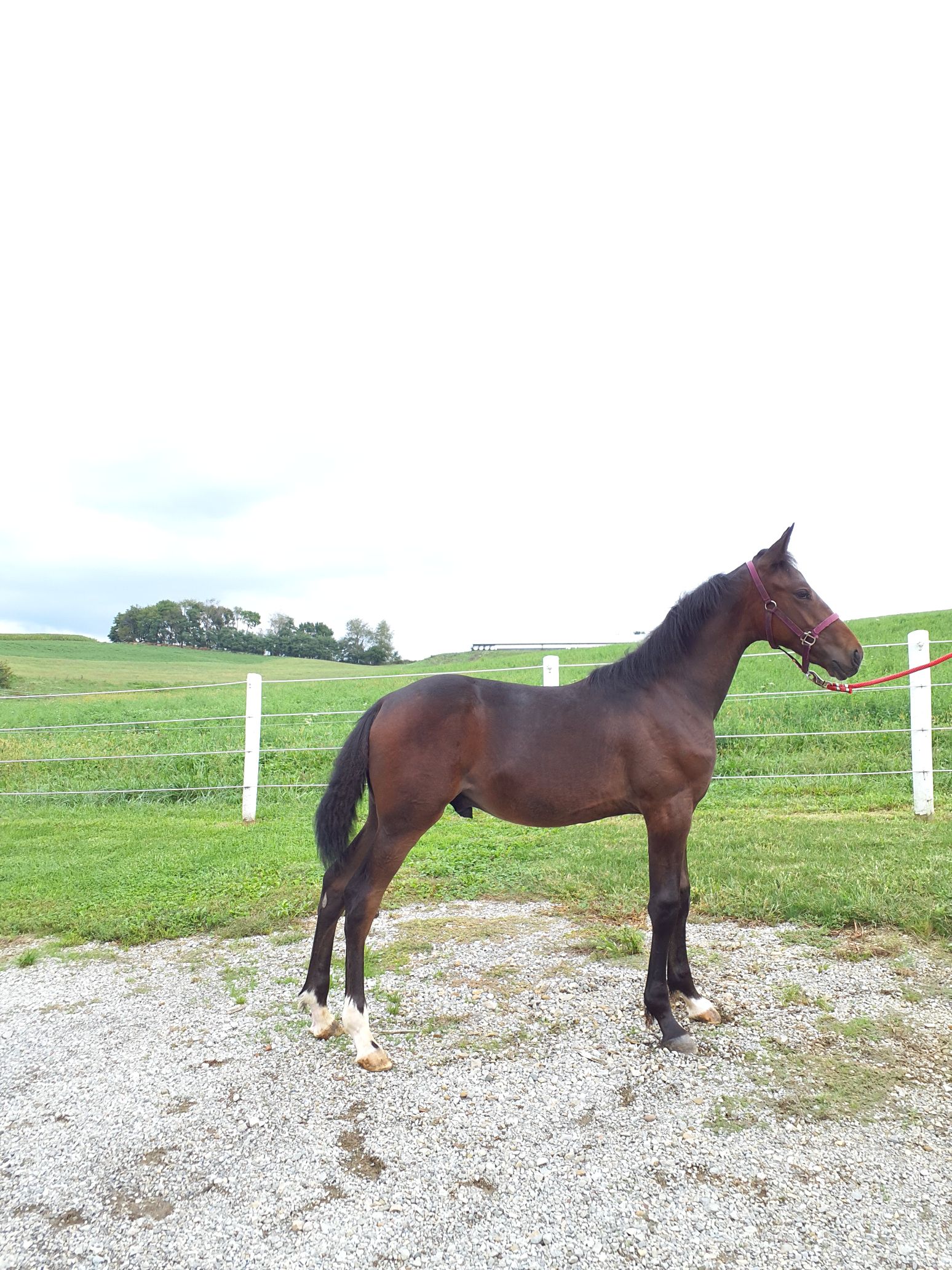 stop in at the stalls to check out these quality consignments… — picture 5